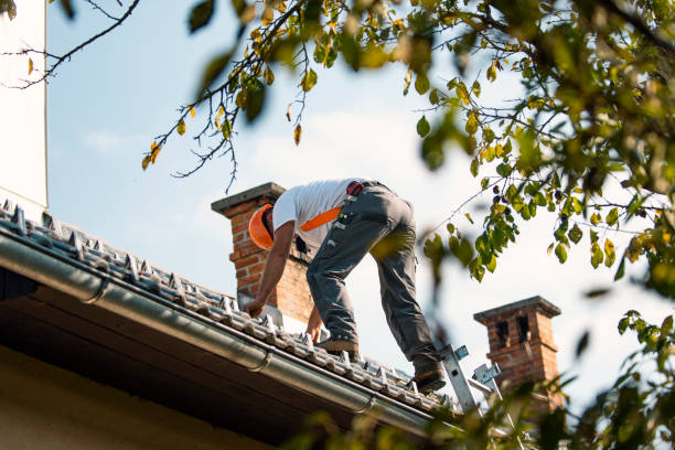 Roof Coating Services in Murphys, CA