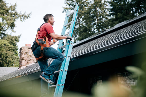 Best Metal Roofing Installation  in Murphys, CA
